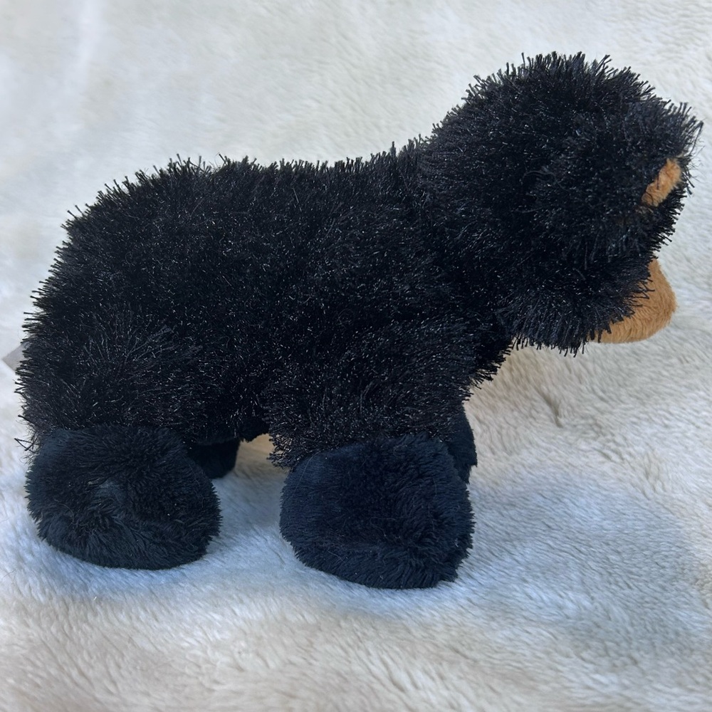 Ganz Webkinz little Black Bear - Picture 2 of 8